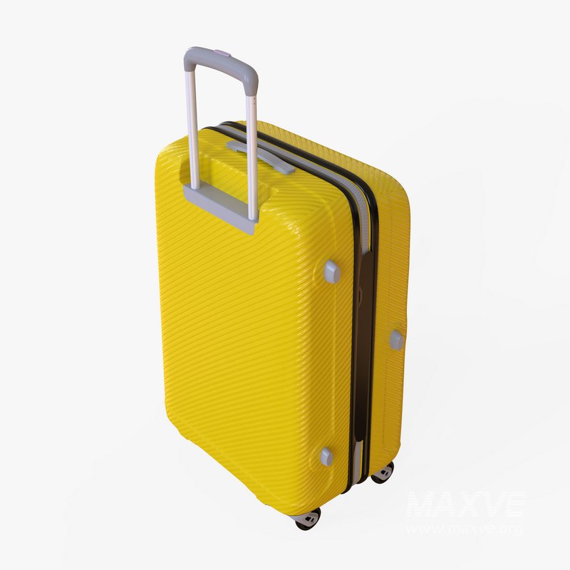 large Suitcase - Image 4