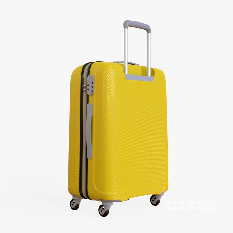 large Suitcase - Image 5