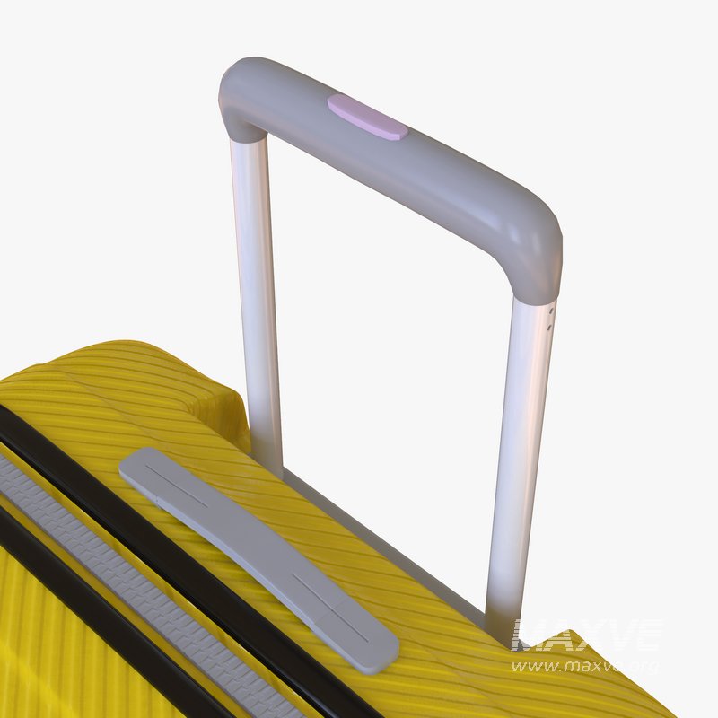 large Suitcase - Image 8