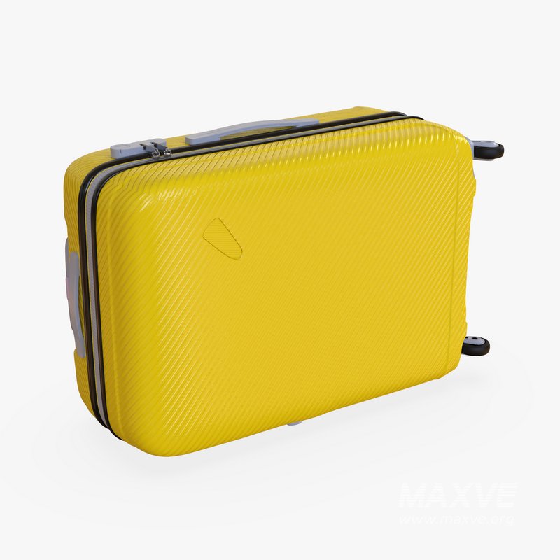 large Suitcase - Image 9