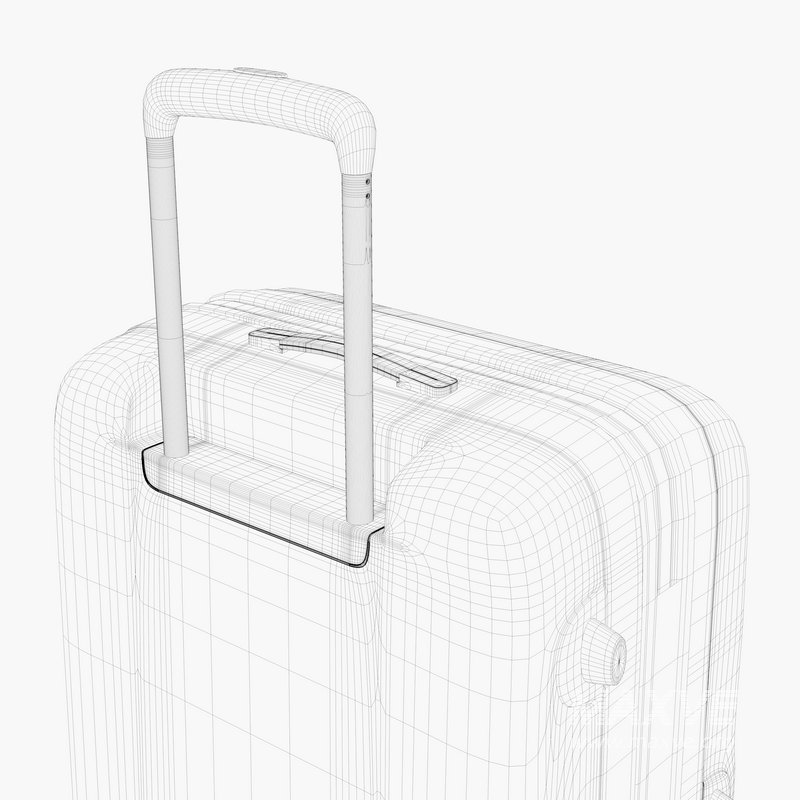 large Suitcase - Image 12