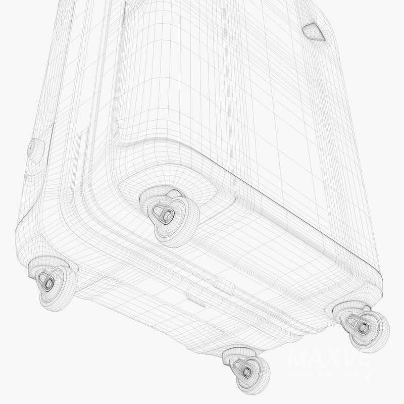 large Suitcase - Image 13