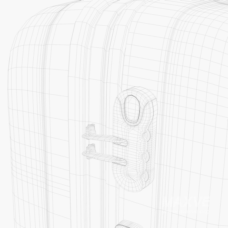 large Suitcase - Image 14