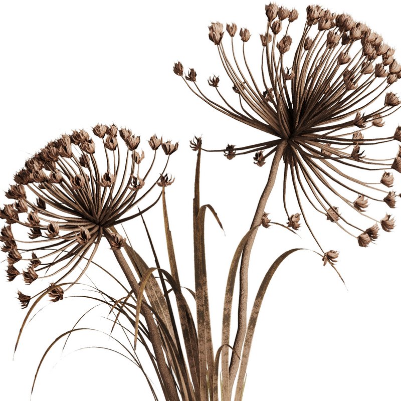 Dry Flower Bouquet33 - Image 3