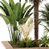 Outdoor Plant set5 - Thumbnail 2