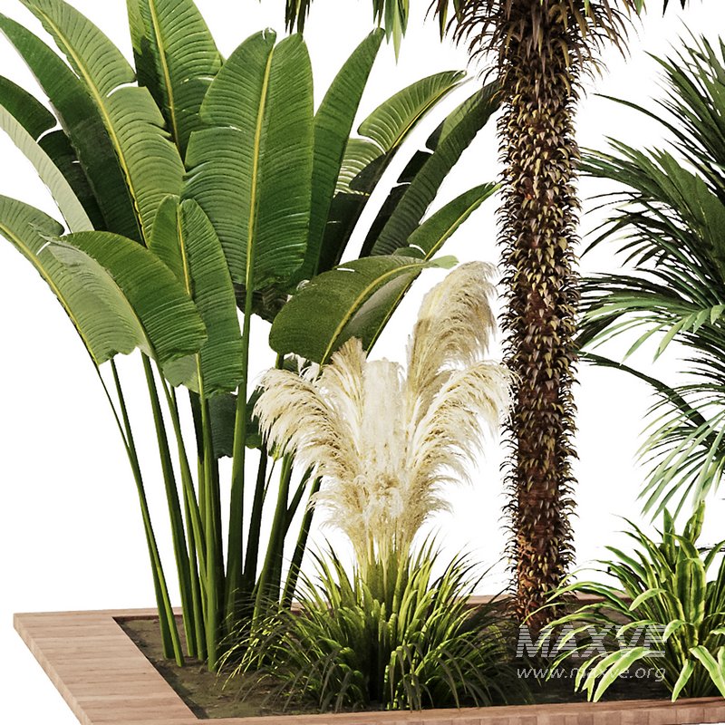 Outdoor Plant set5 - Image 2