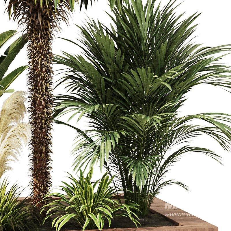 Outdoor Plant set5 - Image 5