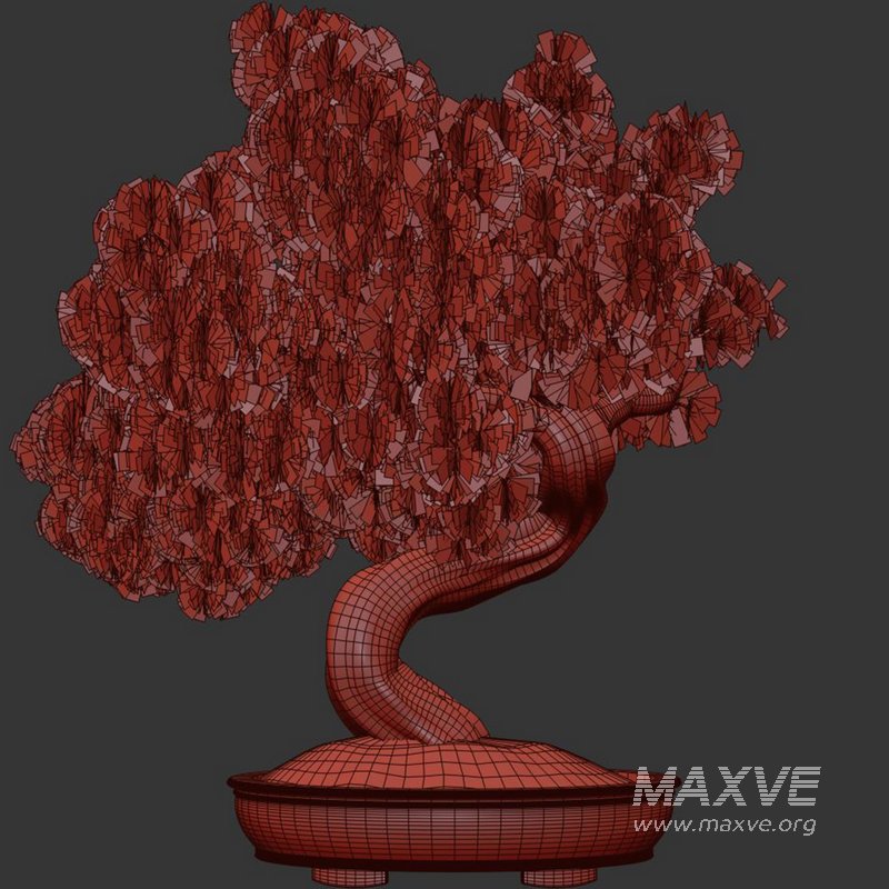 Bonsai Tree set5 - Image 3