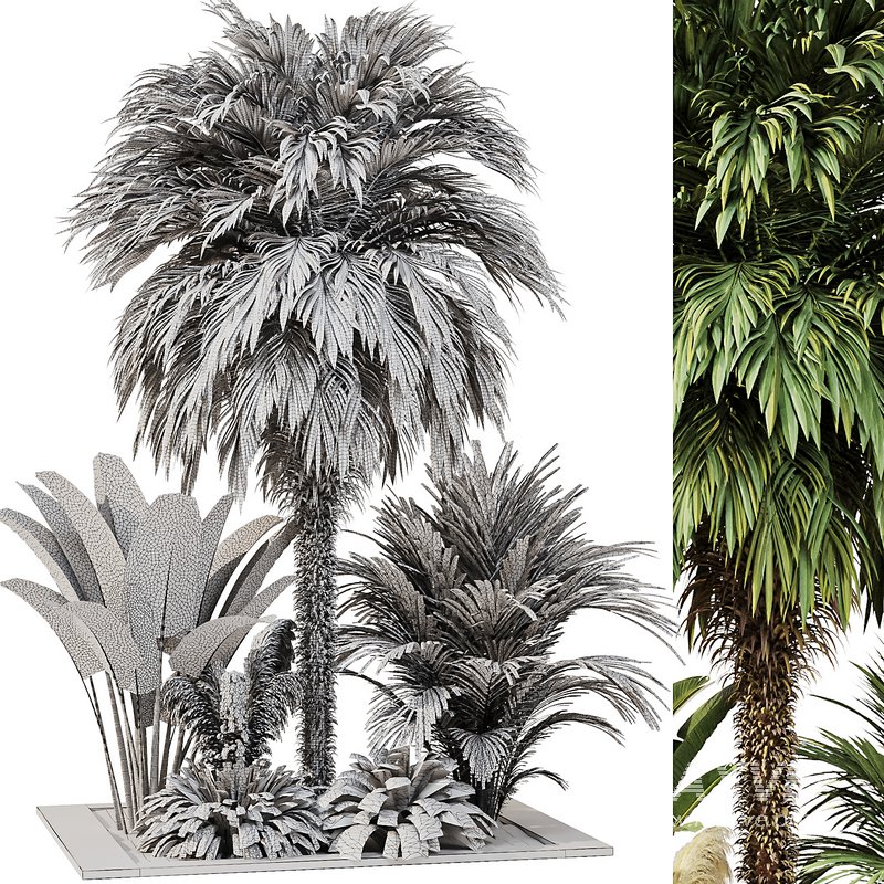 Outdoor Plant set5 - Image 4