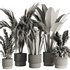 Indoor Plant Set54 - Thumbnail 5
