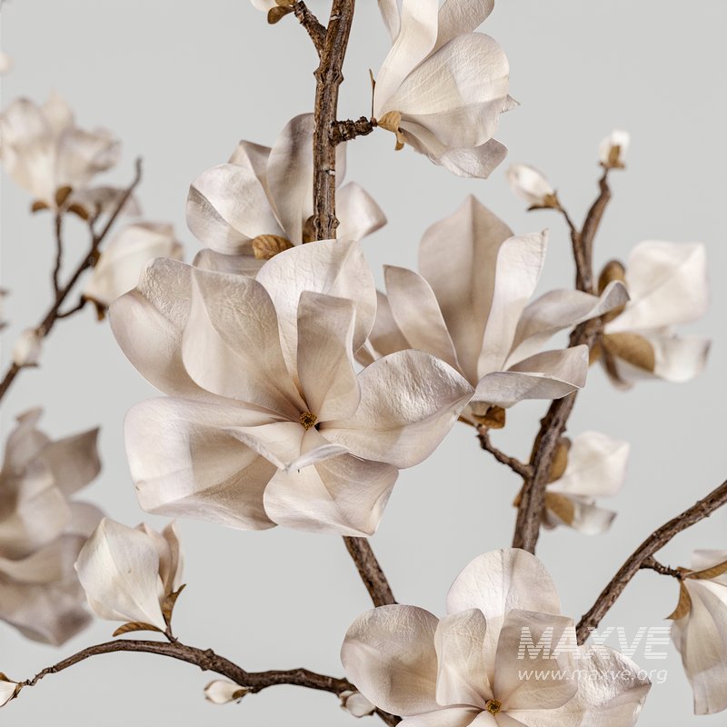 Set Bouquets 14 - Image 3