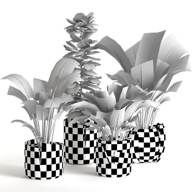 plant collection-set1 - Image 4