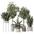 Indoor plant set 09 - Thumbnail 1