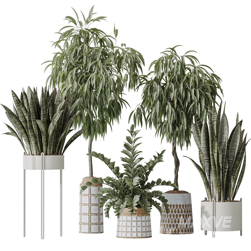 Indoor plant set 09 - Image 1