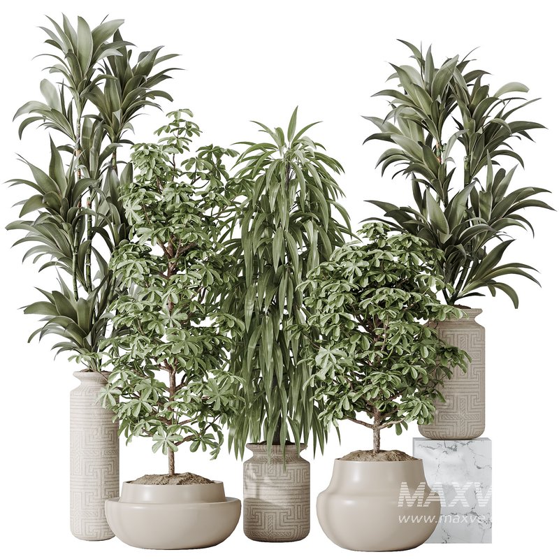 Indoor plant set 24 - Image 1
