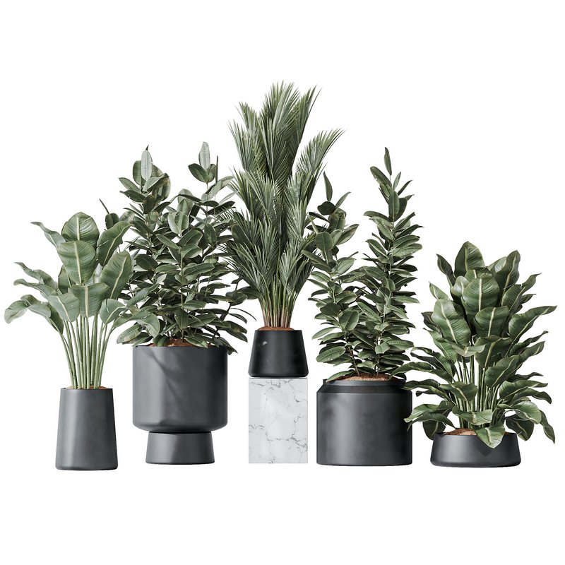 Indoor plant set 07 - Image 1