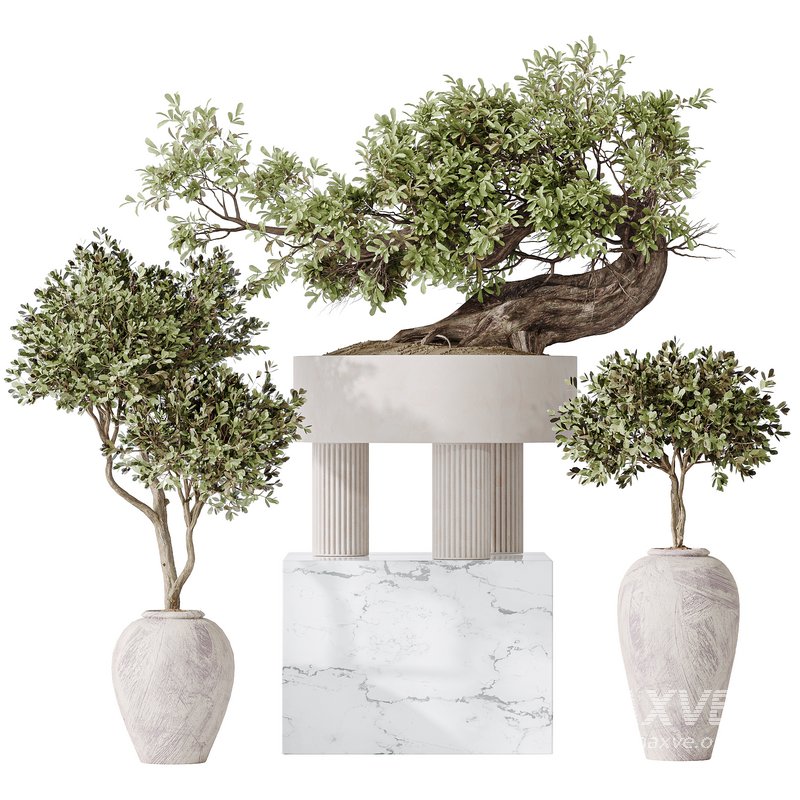 Indoor plant set 17 - Image 1