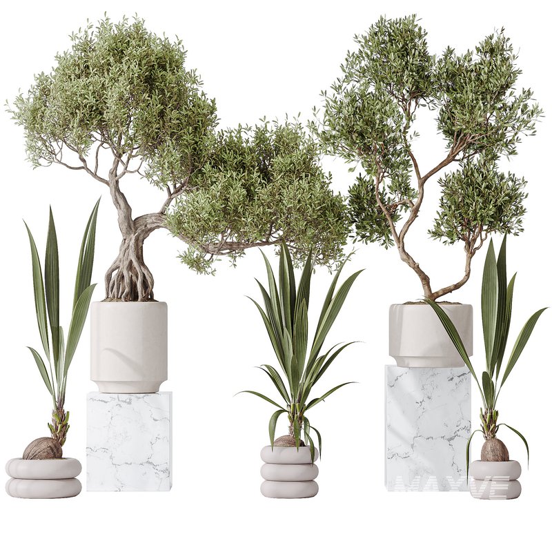 Indoor plant set 20 - Image 1