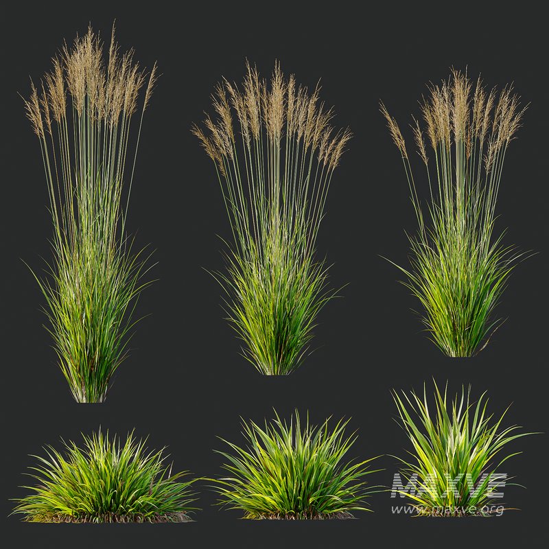 Grass 02 - Image 1