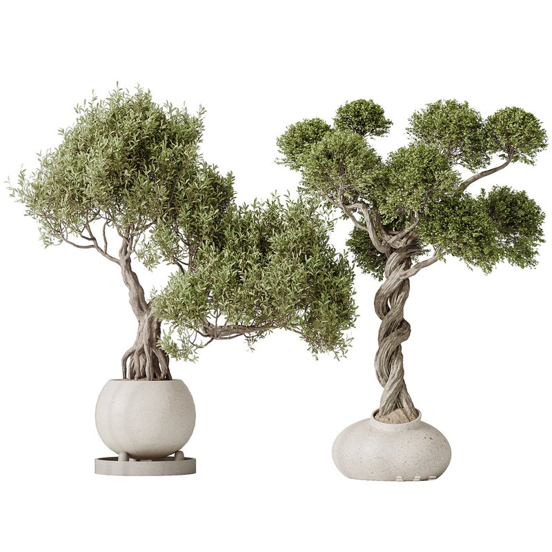 indoor plant set 13 - Image 1