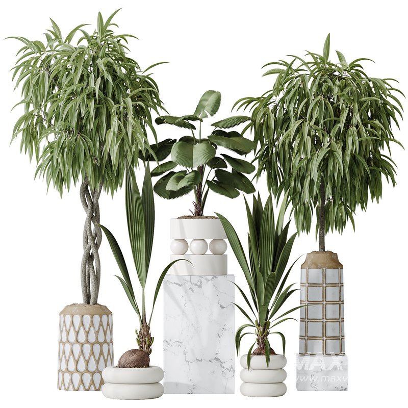 Indoor plant set 01 - Image 1