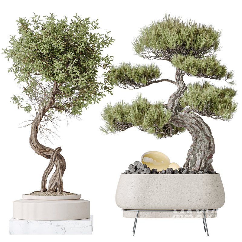 Indoor plant set 15 - Image 1