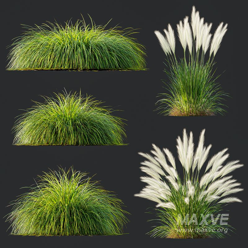 Grass 01 - Image 1