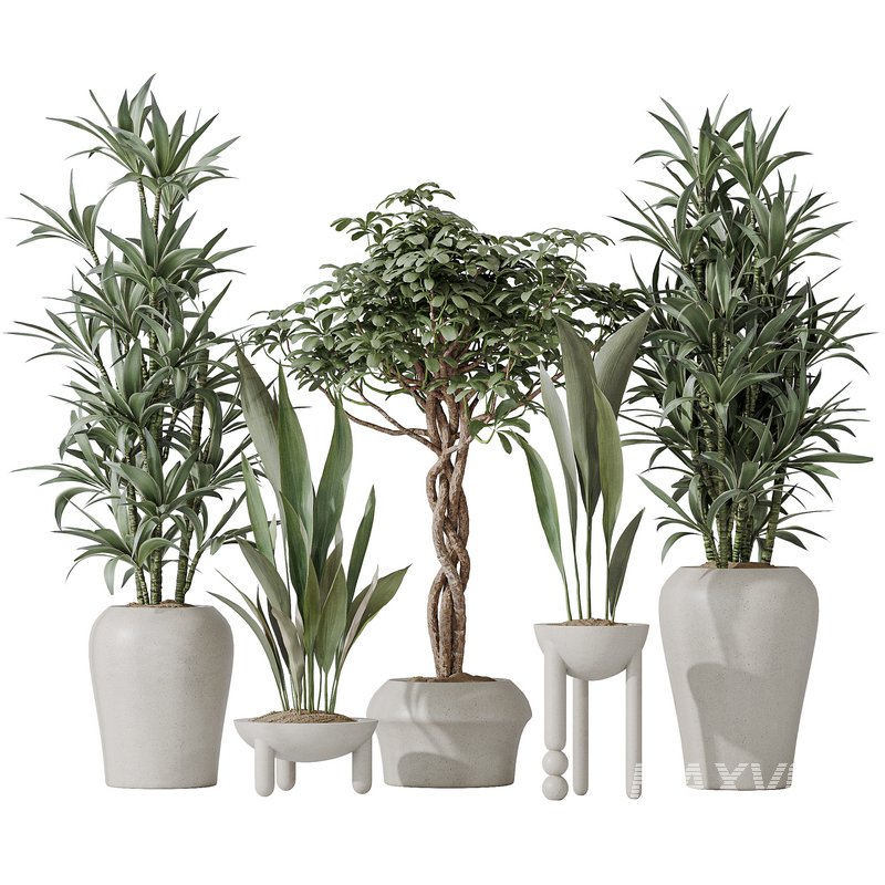 Indoor plant set 06 - Image 1