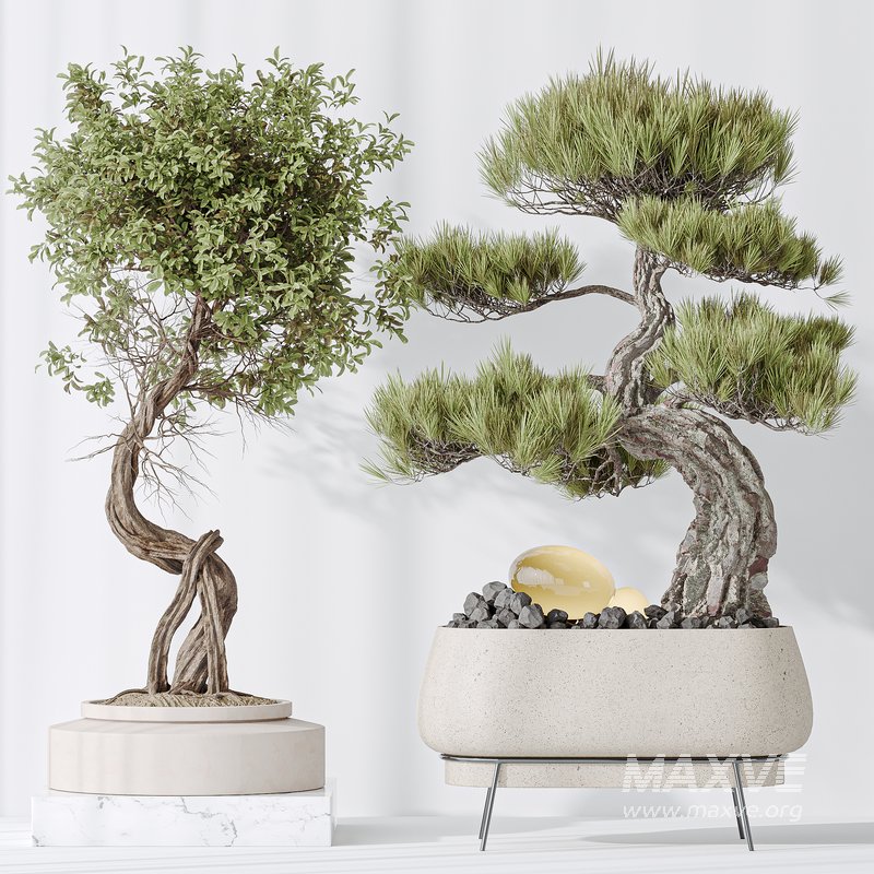 Indoor plant set 15 - Image 2