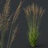 Grass 02 - Thumbnail 7