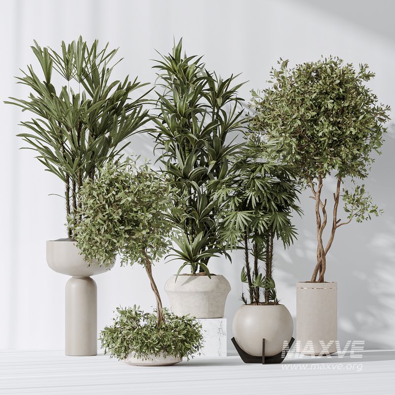 Indoor plant set 02 - Image 1