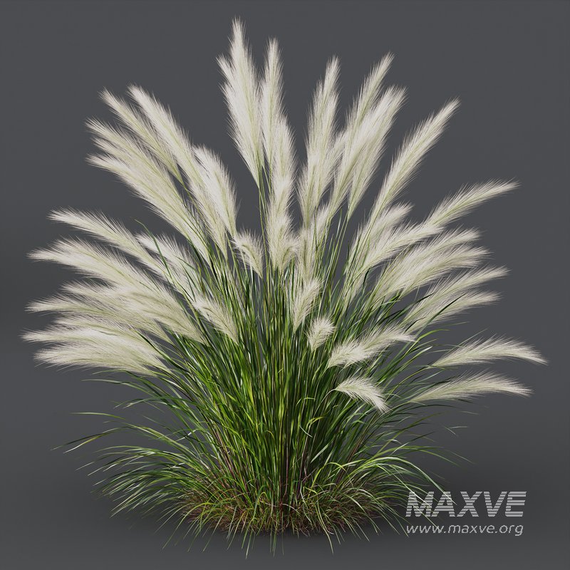 Grass 01 - Image 4