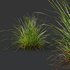Grass 03 - Thumbnail 1