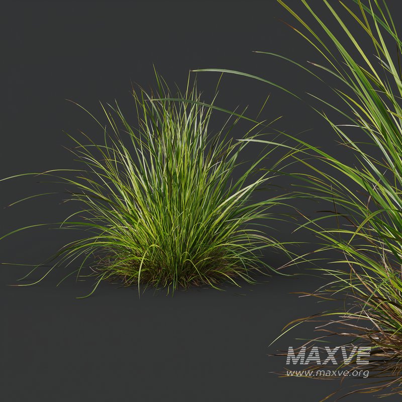 Grass 03 - Image 1