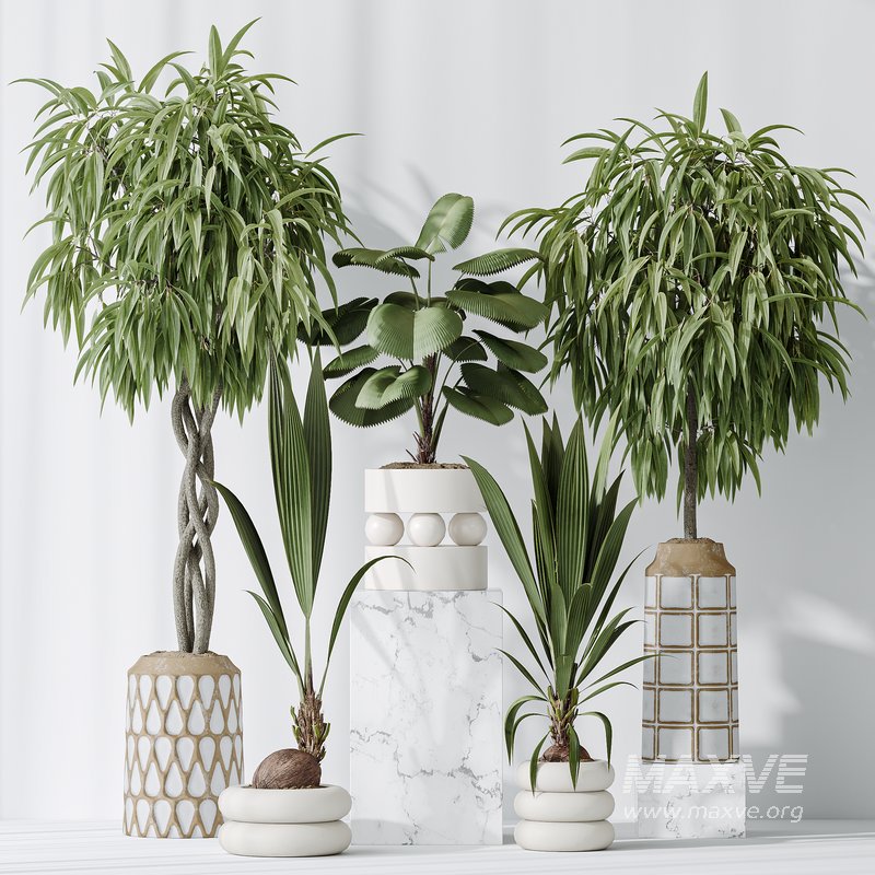 Indoor plant set 01 - Image 3