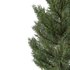 Cedar Tree01 - Thumbnail 2