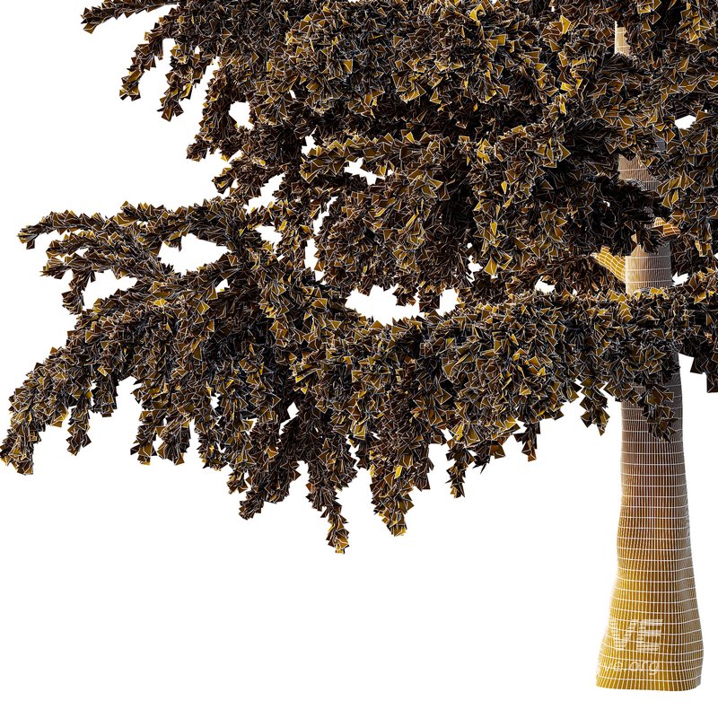 Cedrus deodara02 - Image 3