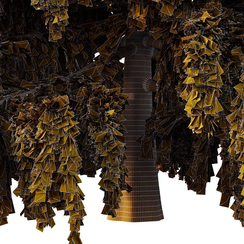 Cedrus deodara01 - Image 3