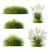 Grass 01 - Thumbnail 2