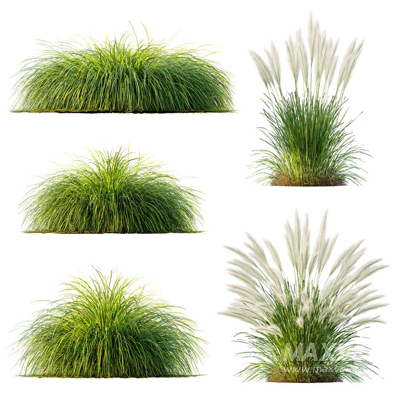 Grass 01 - Image 2