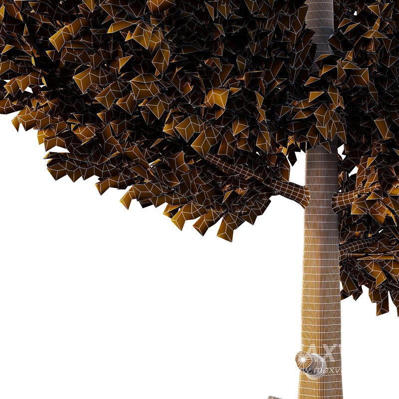 Cedar Tree01 - Image 1