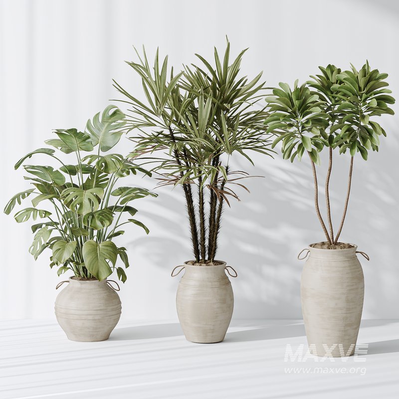 ndoor plant set 19 - Image 3