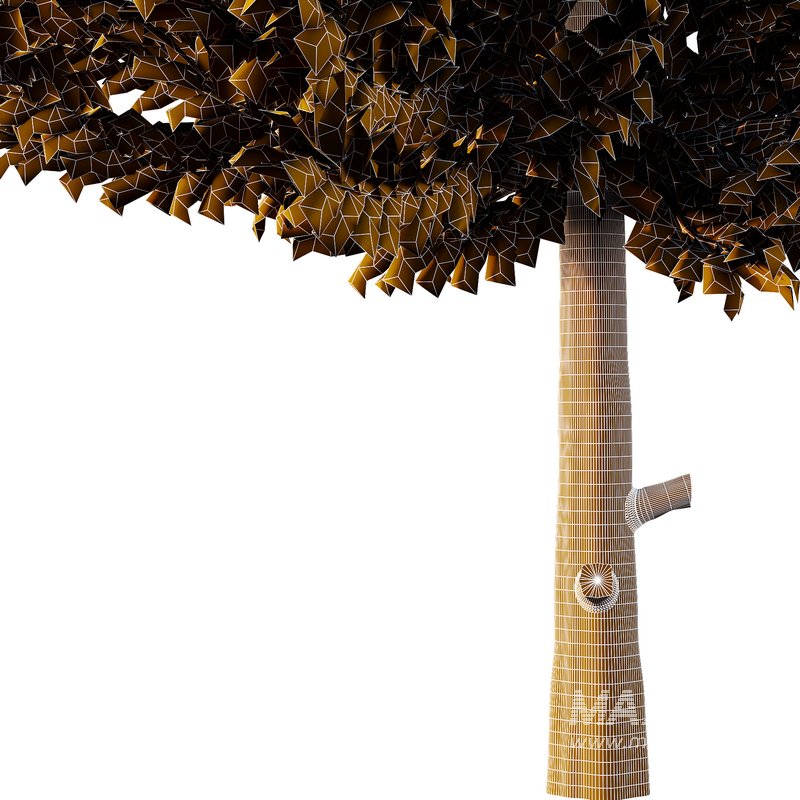 Cedar Tree02 - Image 4