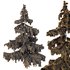 Cedrus deodara03 - Thumbnail 2