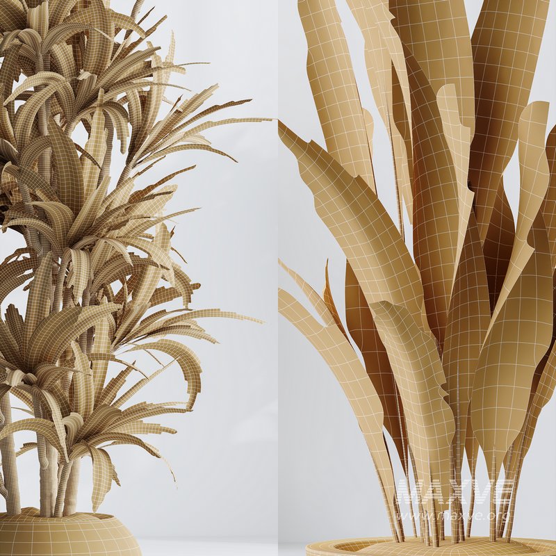 Indoor plant set 06 - Image 3