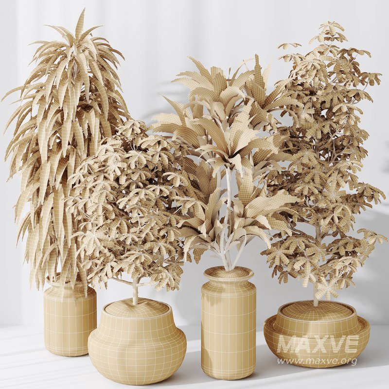 Indoor plant set 24 - Image 4