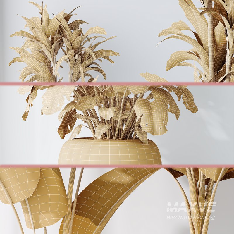 Indoor plant set 08 - Image 3