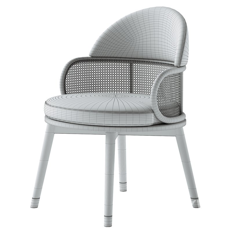 Ruma Dining Chair - Image 5