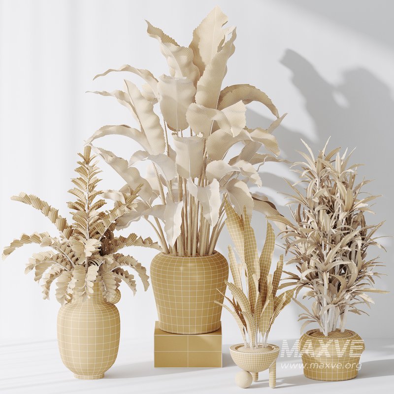 Indoor plant set 21 - Image 5