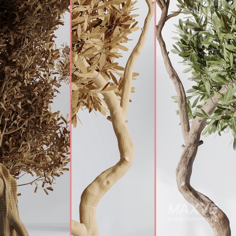 Indoor plant set 20 - Image 4